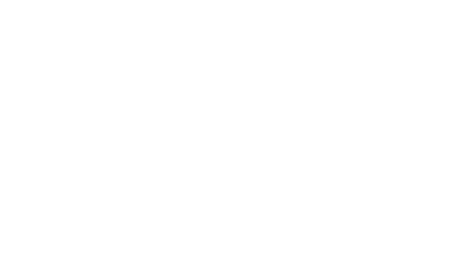 Badshah Foods